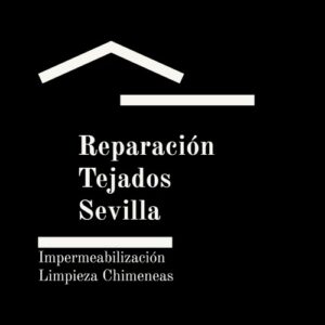 Reparación tejado Sevilla